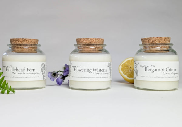 Botany ~ Bergamot Citron - Candle, 6 oz