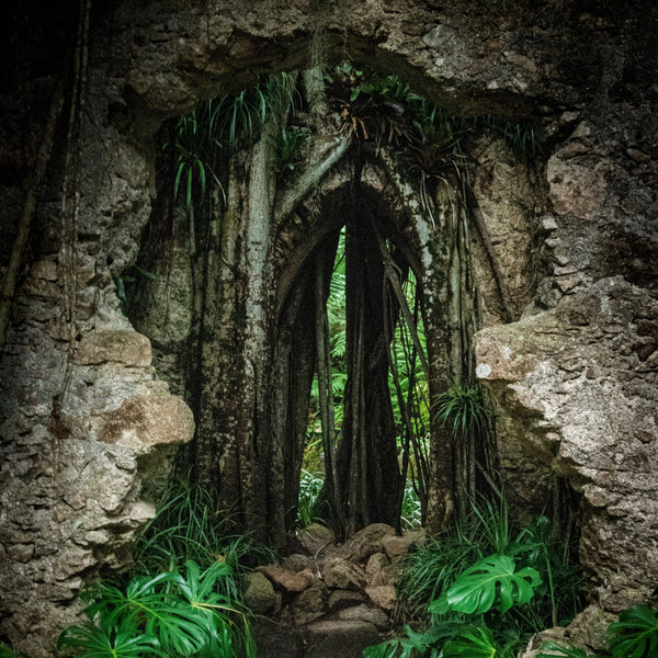 Jungles of Makal Candle