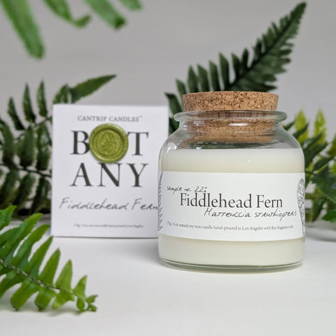 Botany ~ Fiddlehead Fern - Candle, 6 oz