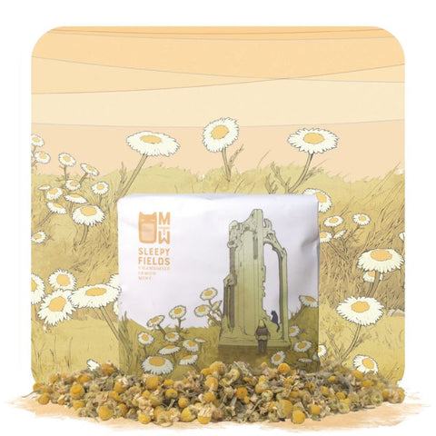Many Worlds Tavern - Sleepy Fields